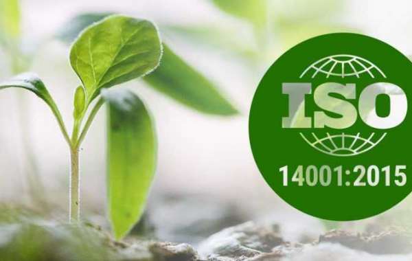 Instructions to Allocate Roles and Responsibilities According to ISO 14001