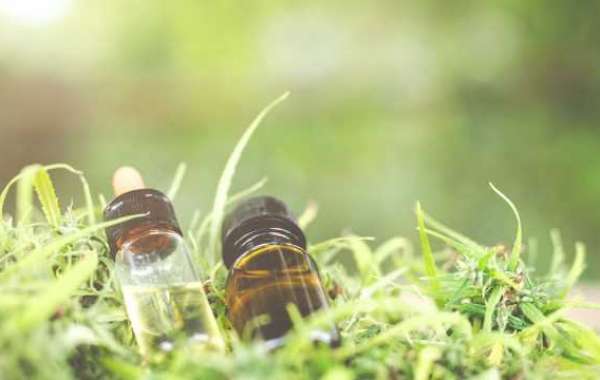 About The Best Way To Take Cbd Oil For Beginners
