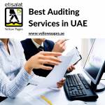 Best Auditing Services in UAE