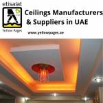 Ceilings Manufacturers & Suppliers in UAE