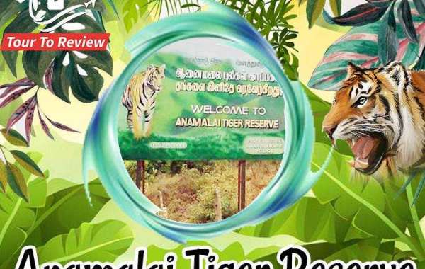 Explore Anamalai Tiger Reserve