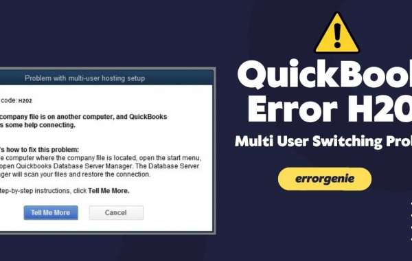 Quickbooks error h202