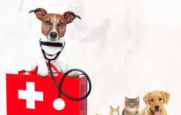 Animal Wound Care Market Analysis, Dynamics, Forecast and Supply Demand 2029