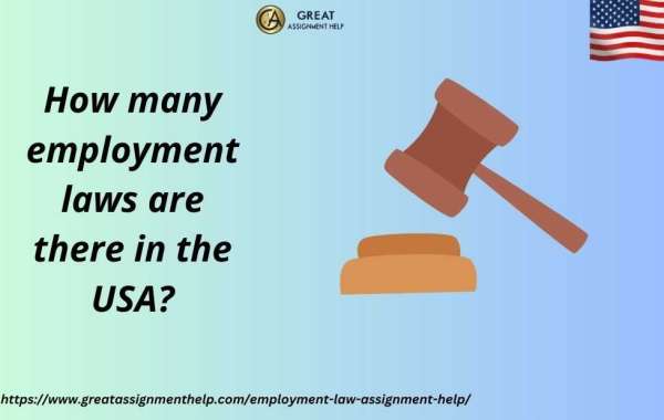 How many employment laws are there in the USA
