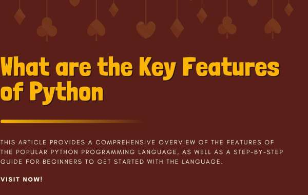 Uncovering the Hidden Characteristics of Python