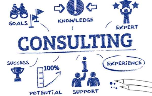 Business Consultants: How They Can Help Your Business Grow: