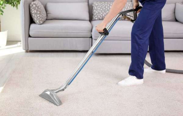 Deep Clean Your Carpets: 15 Best Carpet Cleaning Services