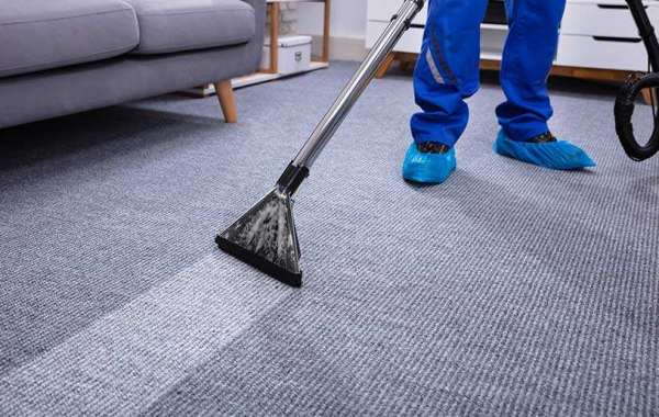 The Best Carpet Cleaning Services for Homes with Children