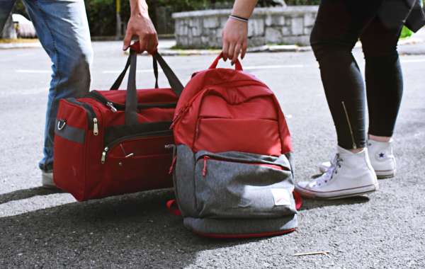 best travel bags in india