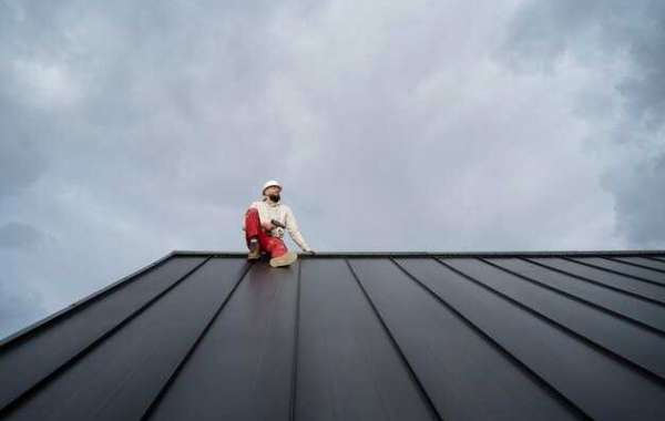 Seal Out the Elements: Weather-Resistant Shingle Roofing Options