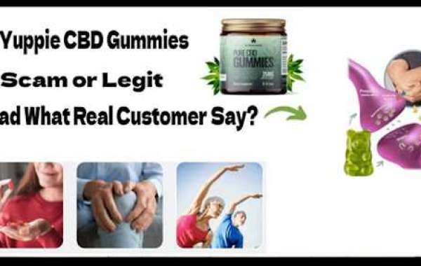 All Your Burning Yuppie CBD Gummies Questions, Answered
