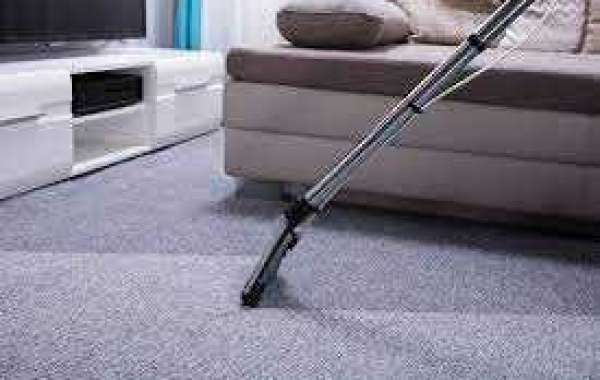 Why Choose Professional Carpet Cleaners for a Fresh and Inviting Home