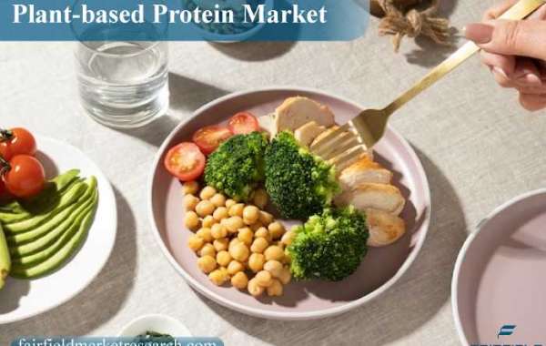 Plant-based Protein Market Future Scope , Top Key Players and Forecast by 2030