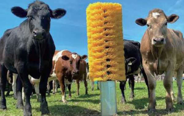 Cow Brush, double the production of cows!
