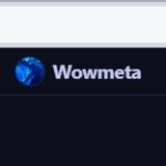 wometa Profile Picture