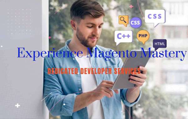Experience Magento Mastery: Dedicated Developer Services
