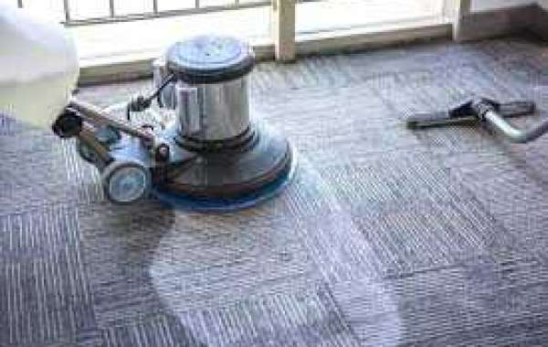 How Professional Carpet Cleaning Conquers Pet Messes