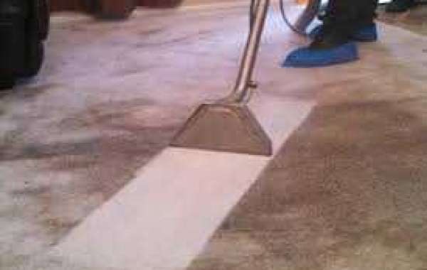 Why Carpet Cleaning Professionals Are the Solution