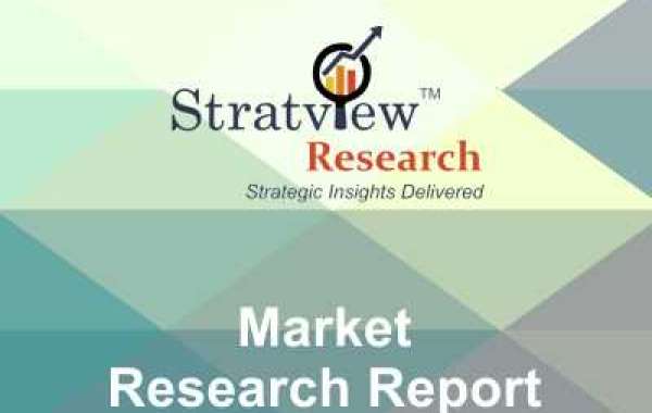 Synthetic Biology Market Pegged for Robust Expansion by 2028
