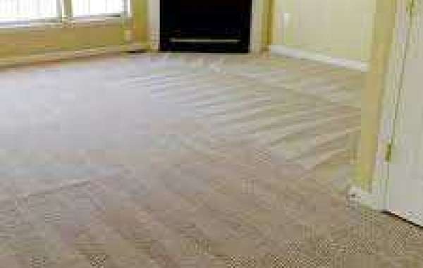 Odor Removal with Professional Carpet Cleaning Services