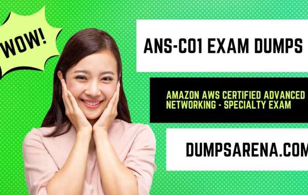 ANS-C01 Exam Dumps: Specialty Practice Exams