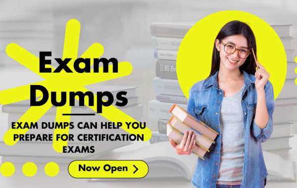 Ditch the Stress: Exam Dumps and the Path to Exam Bliss!