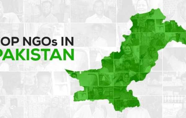 Empowering Change: Unveiling Pakistan's Top 10 NGOs Making a Difference