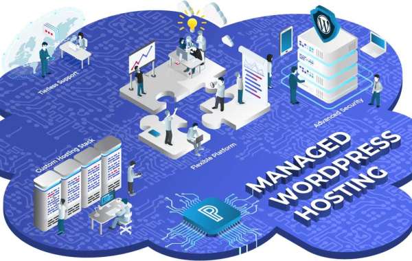 Managed Hosting Service: The Key to Efficient Web Management