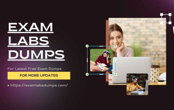 Boost Your Scores: ExamLabsDumps and the Art of Exam Dumps