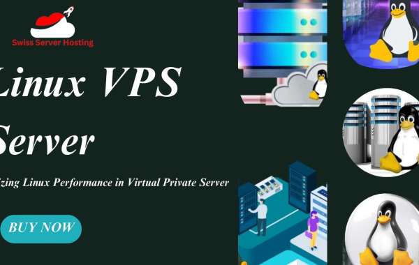 Linux VPS Hosting the ideal choice for high performance web hosting