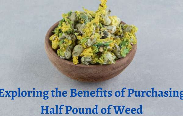 Exploring the Benefits of Purchasing Half Pound of Weed
