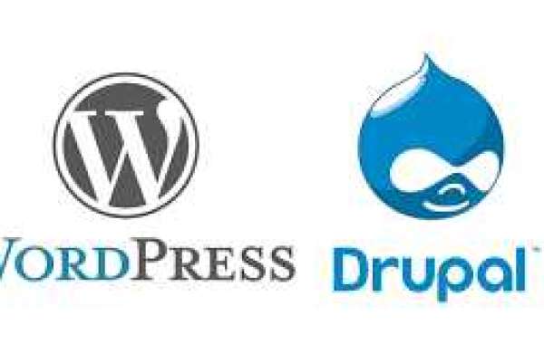 "Decoding the Debate: WordPress vs. Drupal – Reddit's Take"
