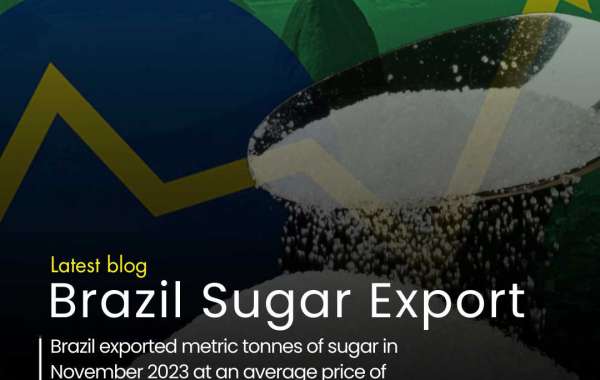 Who is Brazil's Largest Export Partner?