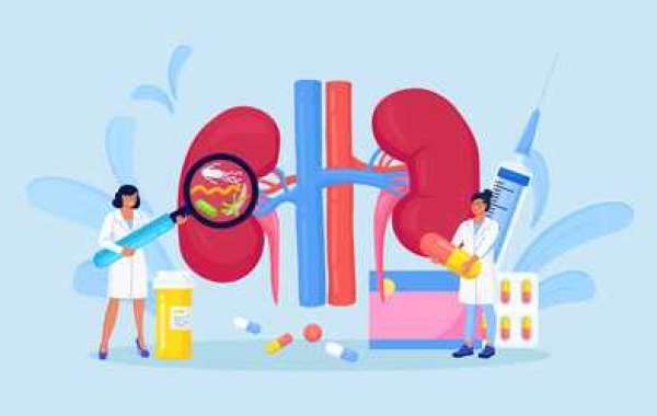 Dialysis Market Key Companies, Business Opportunities, Competitive Landscape and Industry Analysis Research Report by 20