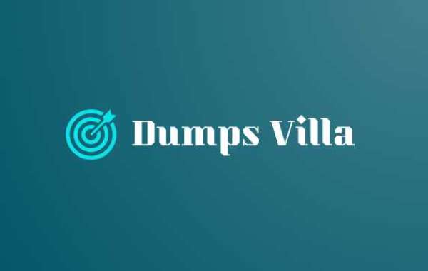 How Dumps Villa Elevates Businesses with Proven Data Dumping Strategies