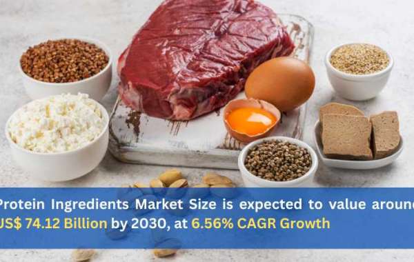 Protein Ingredients Market Size is expected to value around US$ 74.12 Billion by 2030