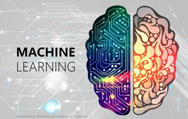 "Democratizing Data: The Role of Machine Learning in Decision-making"