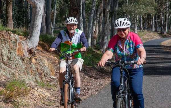 Brisbane Bike Rental: Exploring the City on an NCM Electric Bike