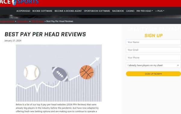 2024 Best Pay Per Head Reviews | Unveiling the Top 10 Bookie Software Sites