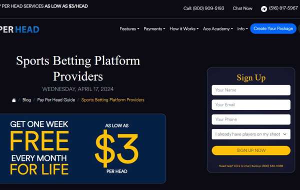 7 Tips for Sports Betting Platform Providers | Unlock As Low As $3/h PPH Software with AcePerHead.com