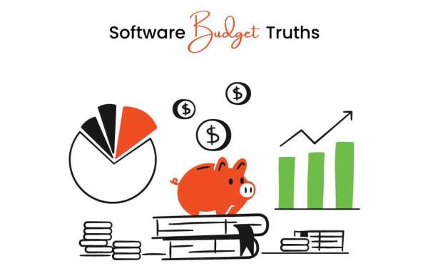 The Truths Behind Software Budget Mismanagement