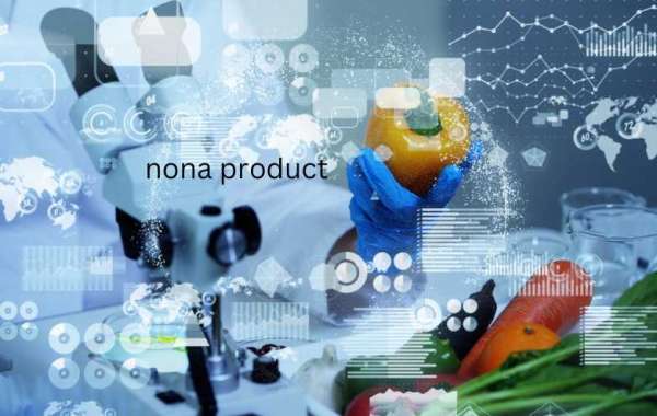 Unveiling Nona's Services: A Spectrum of Expertise in Empowering Progress