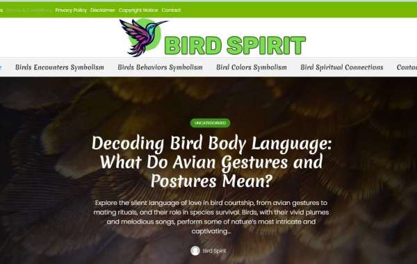Unveiling the Spiritual Language of Birds